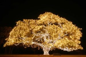 Great Holiday Events in Austin 2019